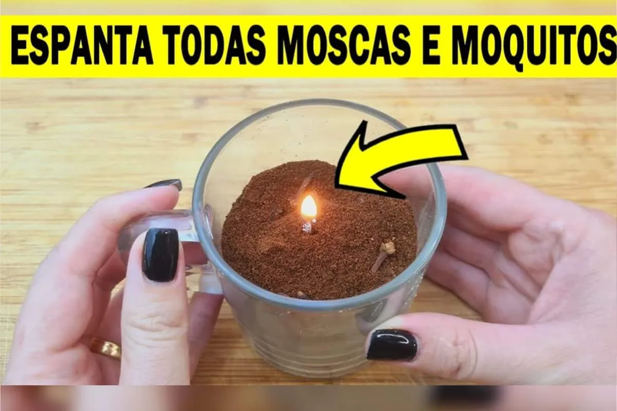 Repelente de mosquitos caseiro: espanta os insetos e ainda a