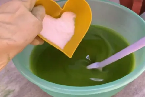 Sabão caseiro de folha de mamão: você vai se surpreender com