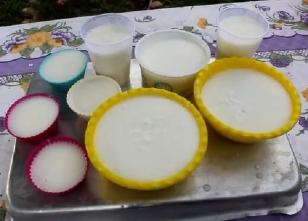 Sabão Caseiro Para Rejuntes de Pisos e Azulejos