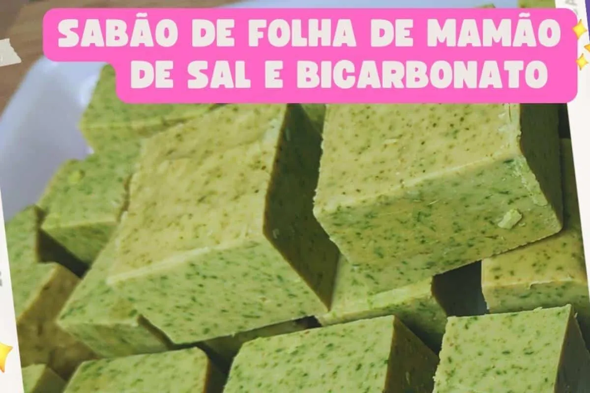 Sabão com folha de mamão: muito fácil de fazer e sem ingredi