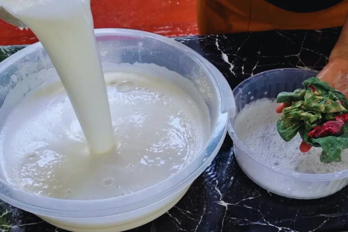 Sabão de coco caseiro: espuma muito e deixa suas roupas muit