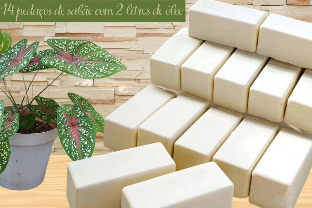 Sabão desengordurante que rende muito usando só 2 litros de