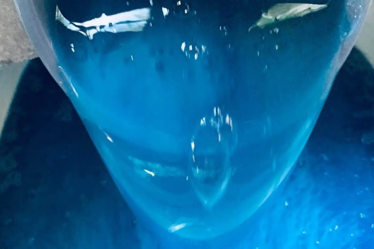 Sabão líquido caseiro concentrado: receita que rende bastant