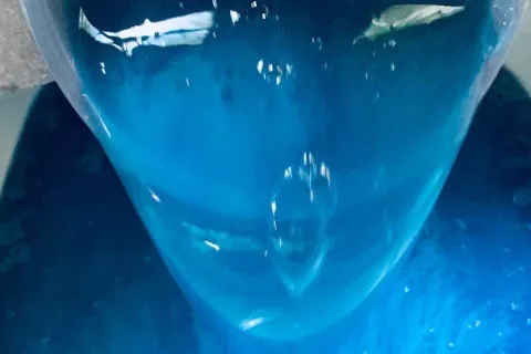 Sabão líquido caseiro concentrado: receita que rende bastant