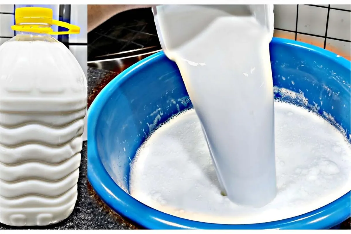 Sabão líquido caseiro sem soda feito com ingredientes que vo