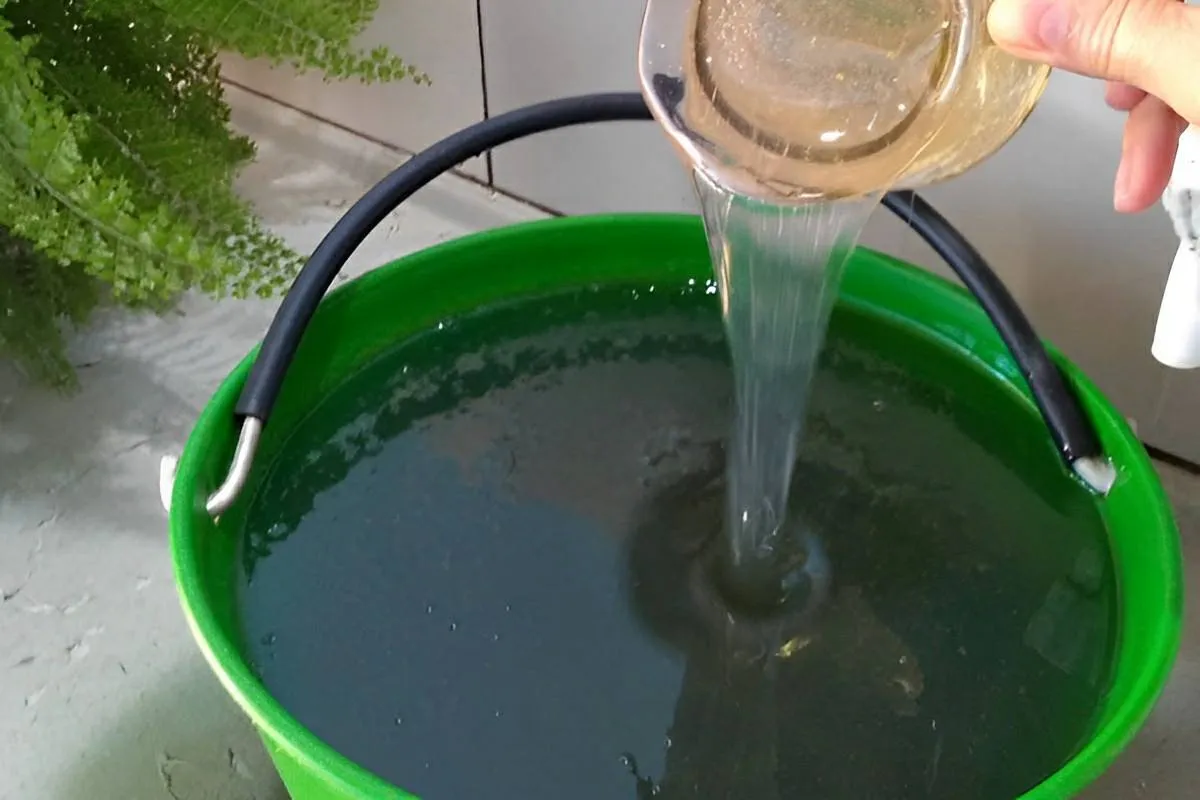 Sabão líquido que rende muito feito com apenas 3 ingrediente