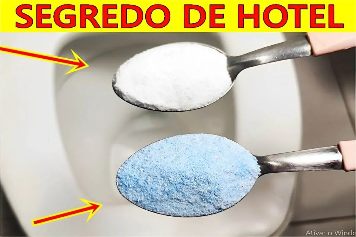 Segredo das melhores diaristas para limpar o banheiro da sua