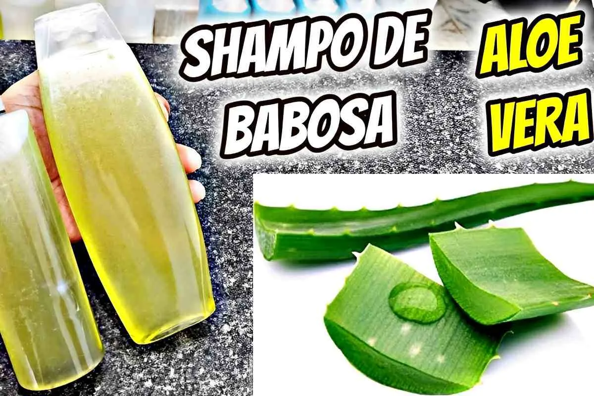 Shampoo de babosa caseiro maravilhoso feito com apenas 2 ing