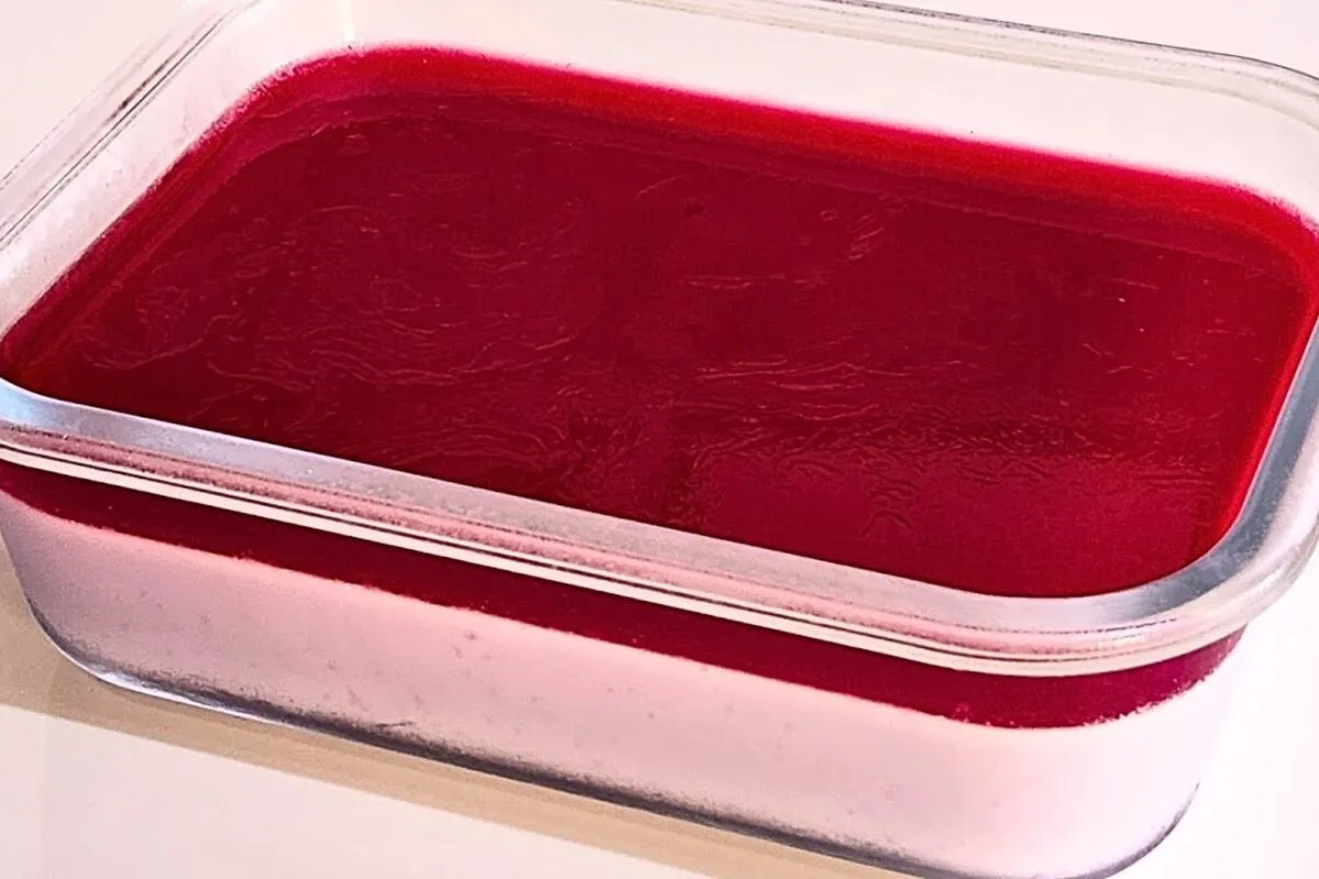 Sobremesa de 2 ingredientes muito cremosa e fácil de fazer para você não perder tempo na cozinha no fim de semana