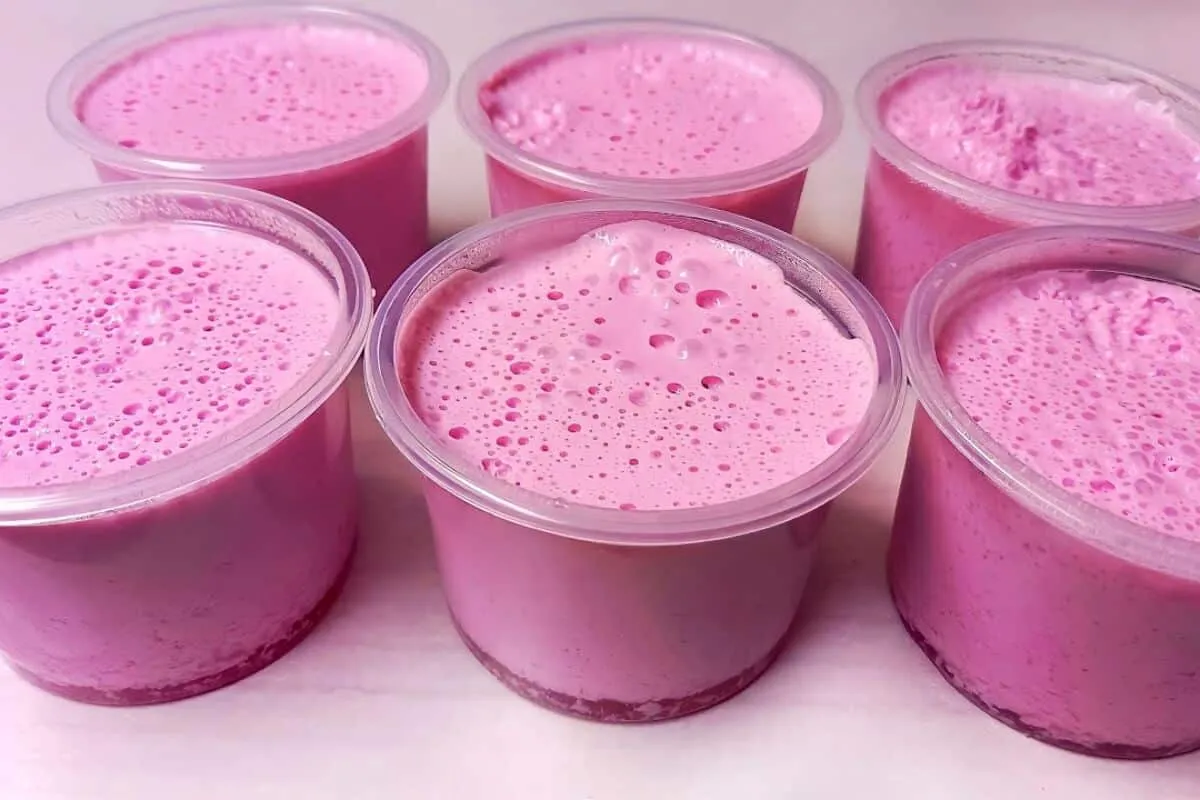 Sobremesa de 2 ingredientes sem leite condensado, que é econ