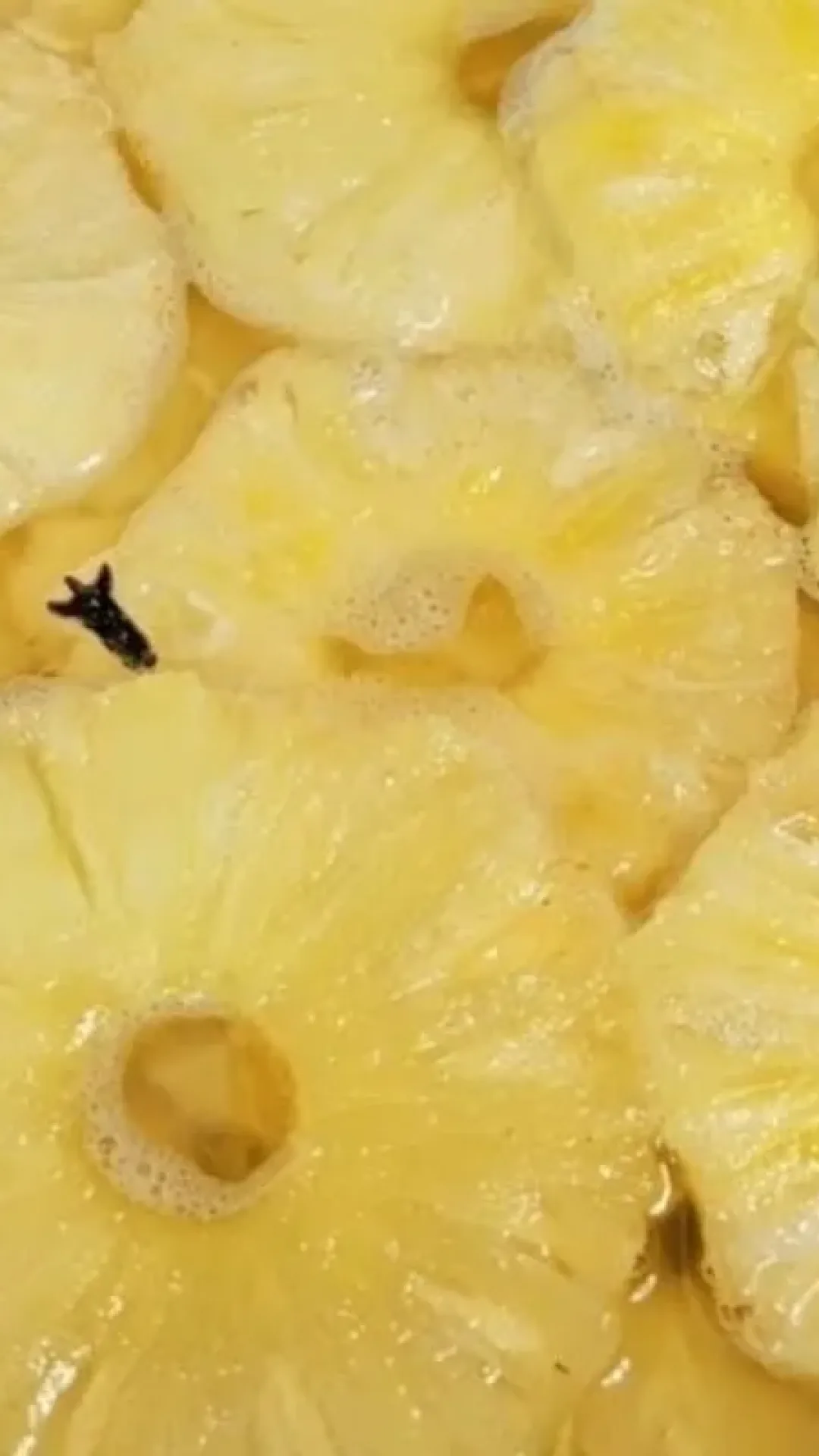 Abacaxi em calda caseiro, que é fácil e rápido, perfeito para saborear puro ou usar em bolos