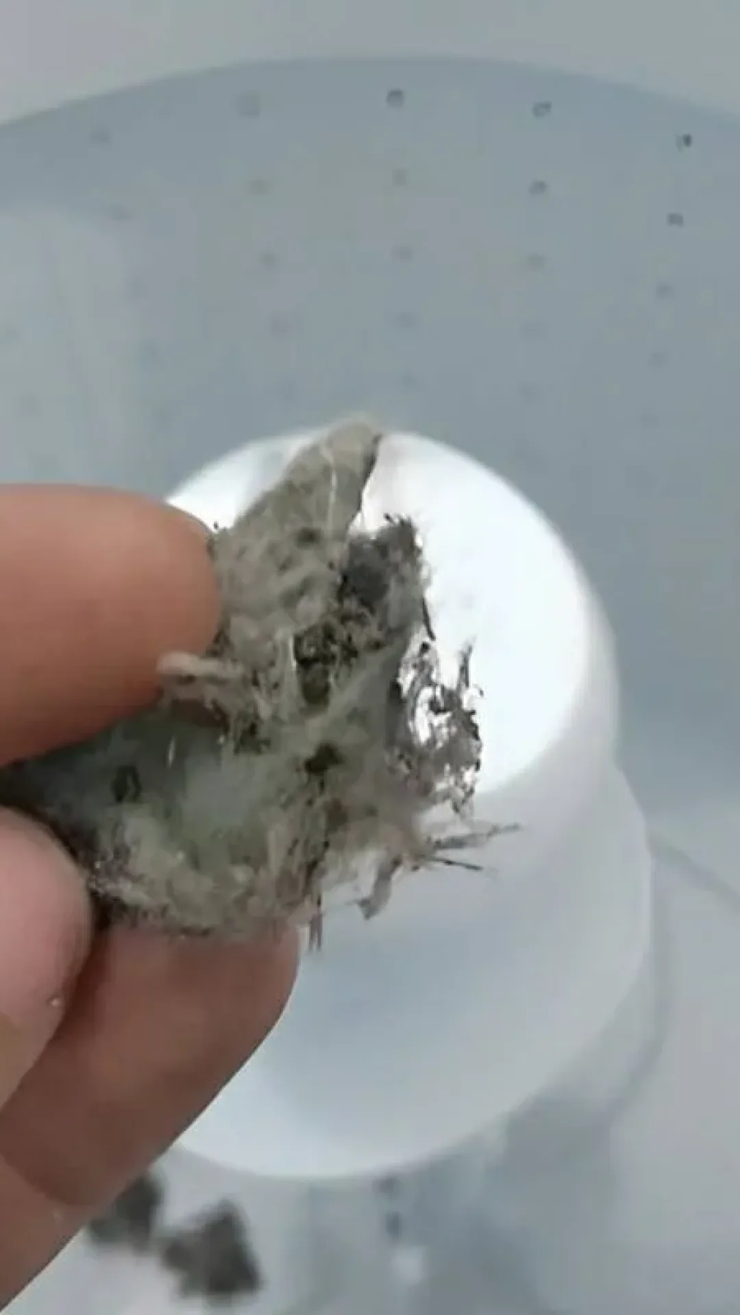 Acabe com os fiapos de roupa da sua máquina de lavar com um truque muito simples e eficiente