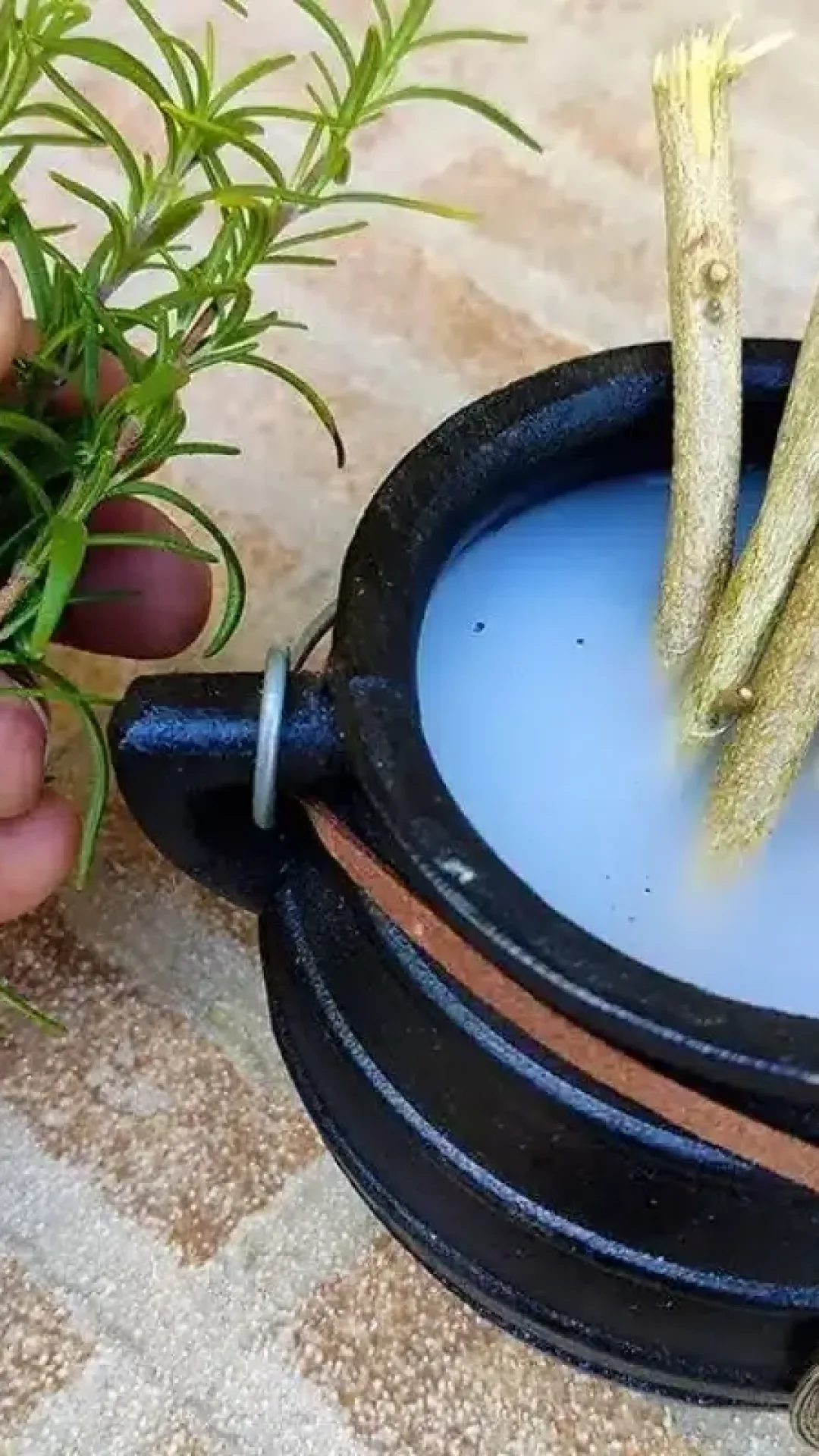 Aromatizador de ambiente caseiro: muito mais barato do que gastar dinheiro com essências