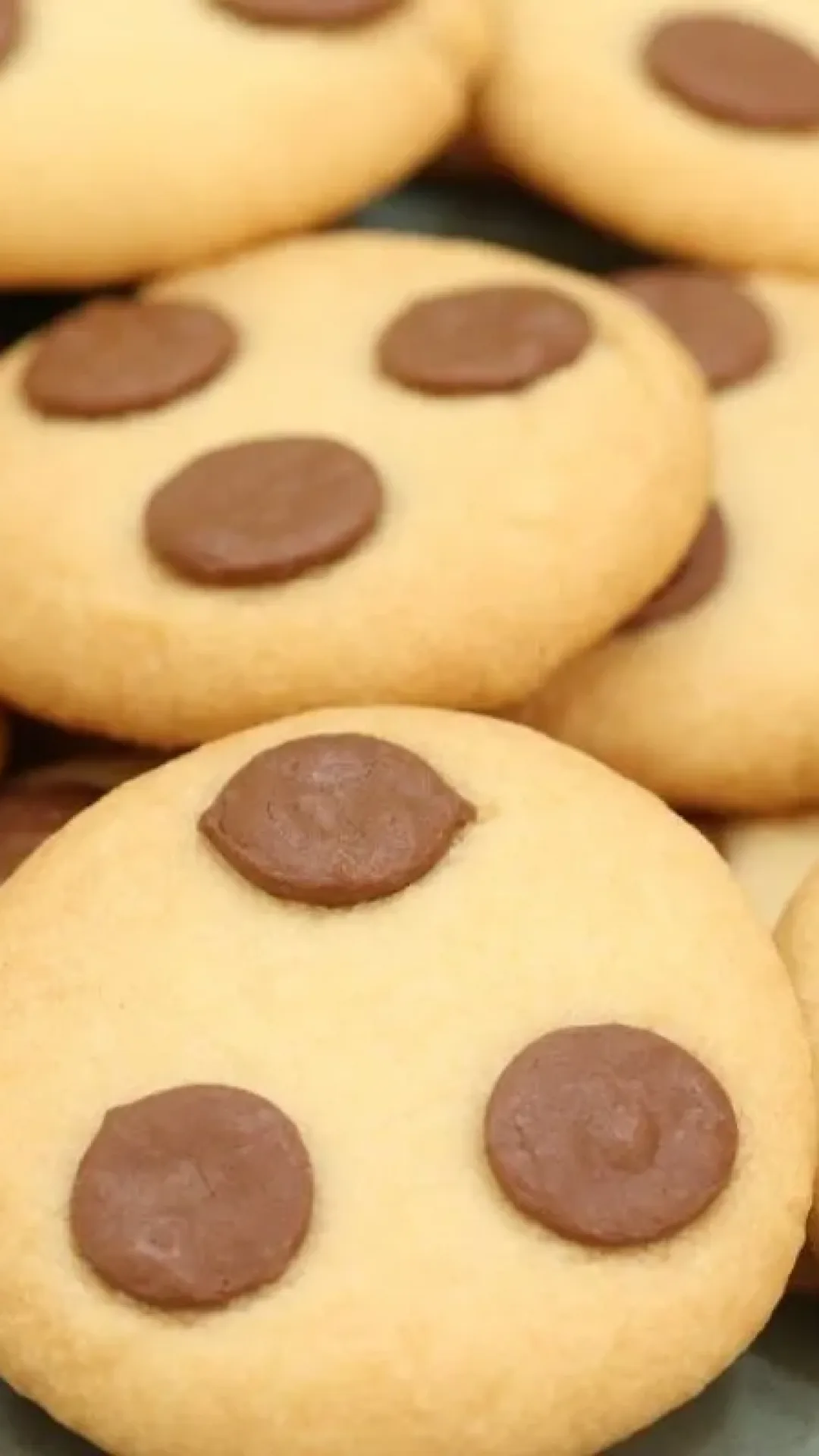 Biscoitinho caseiro com poucos ingredientes, derrete na boca e fica pronto em minutos
