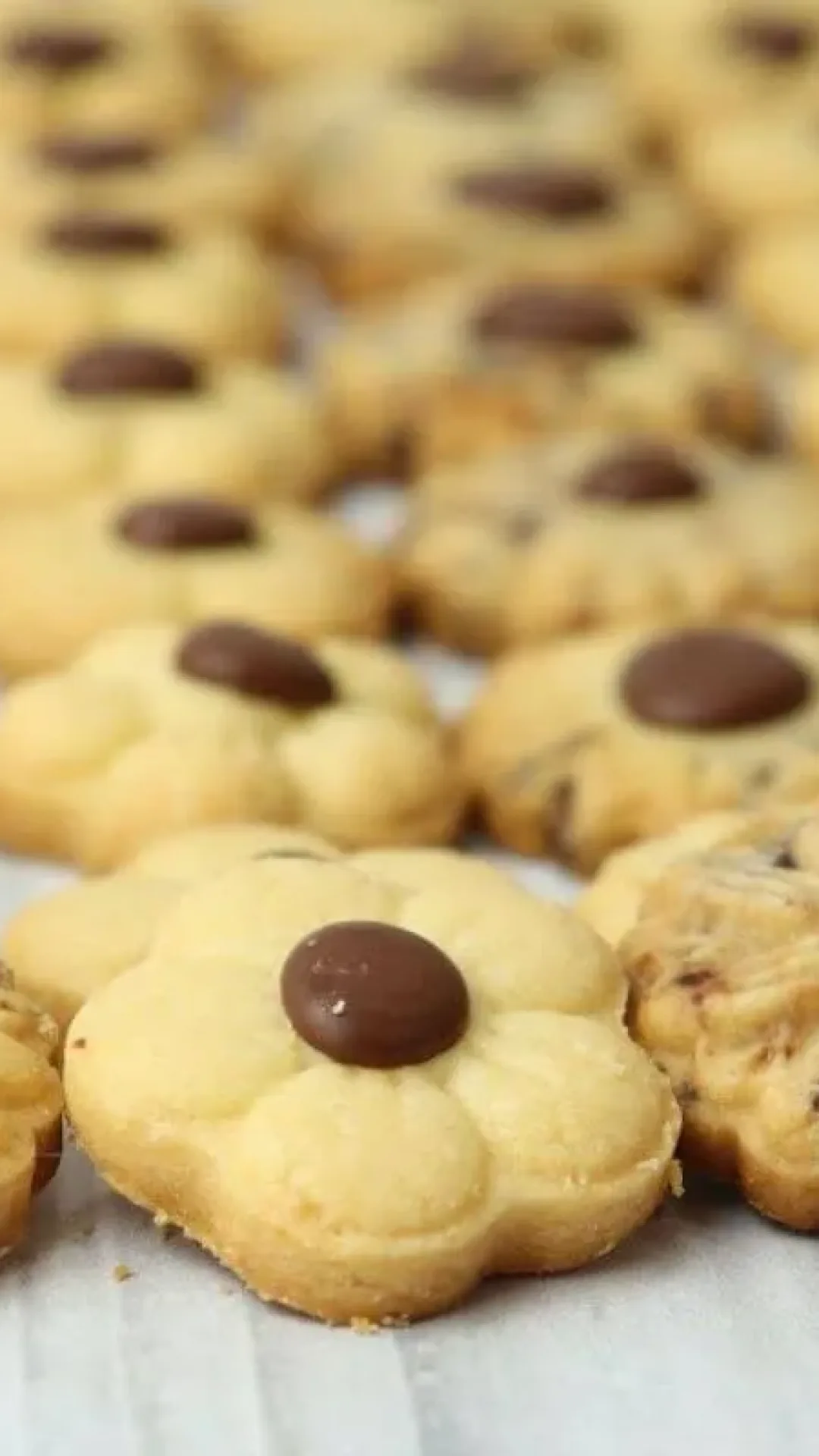 Biscoito amanteigado com gotinhas de chocolate sempre dá vontade de comer mais um