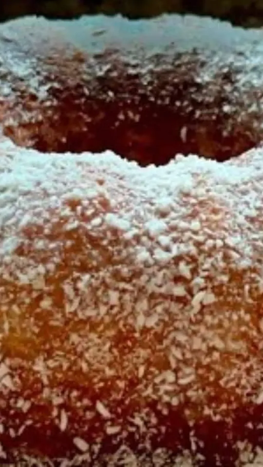Bolo caseirinho de limão com uma combinação perfeita e suas as visitas vão querer a receita