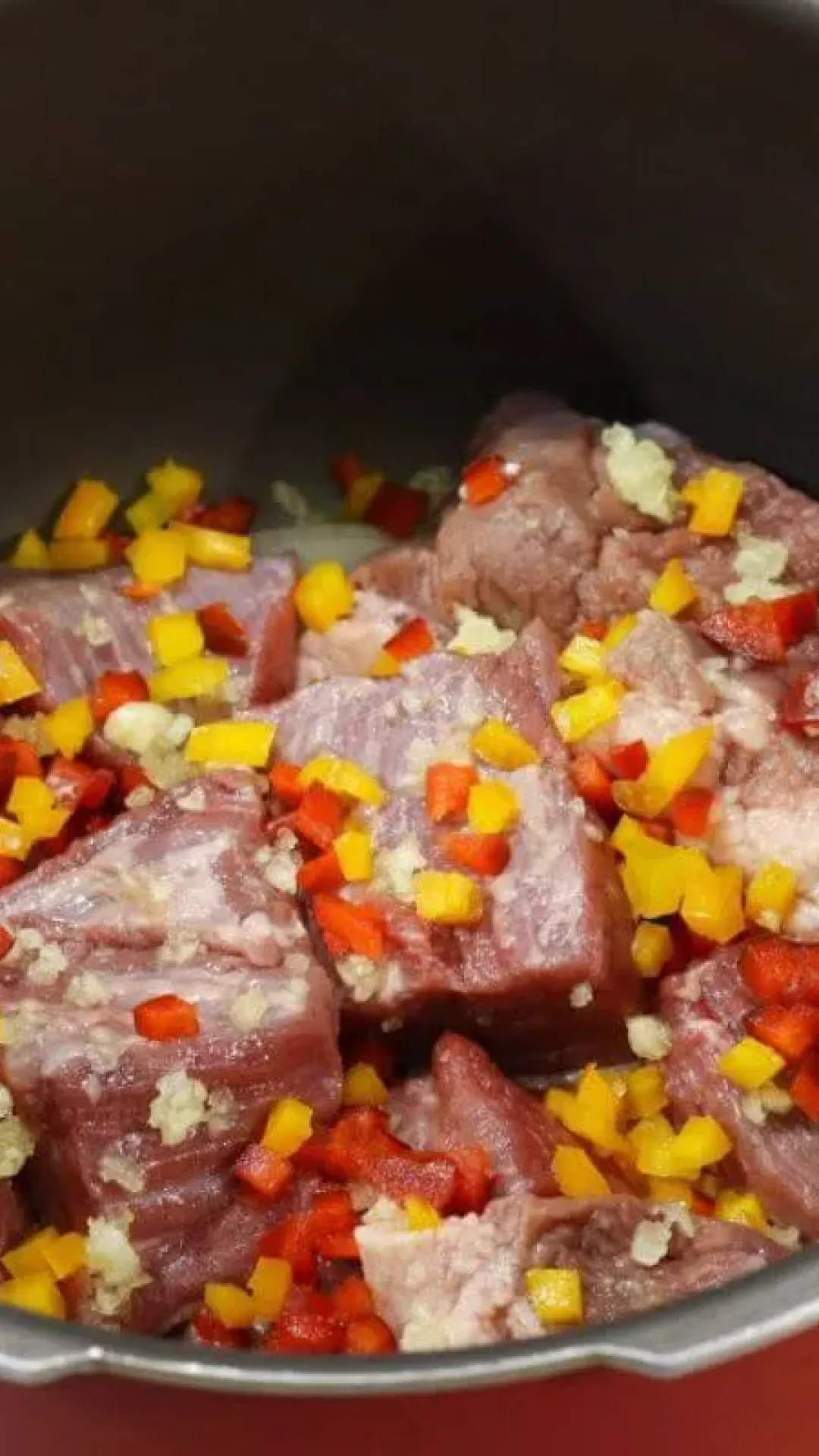 Carne de panela com um tempero secreto que deixa seu almoço ainda mais saboroso