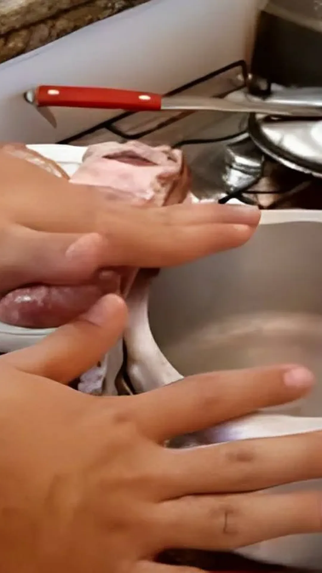 Churrasco na panela de pressão fica pronto em minutos é perfeito para o fim de semana