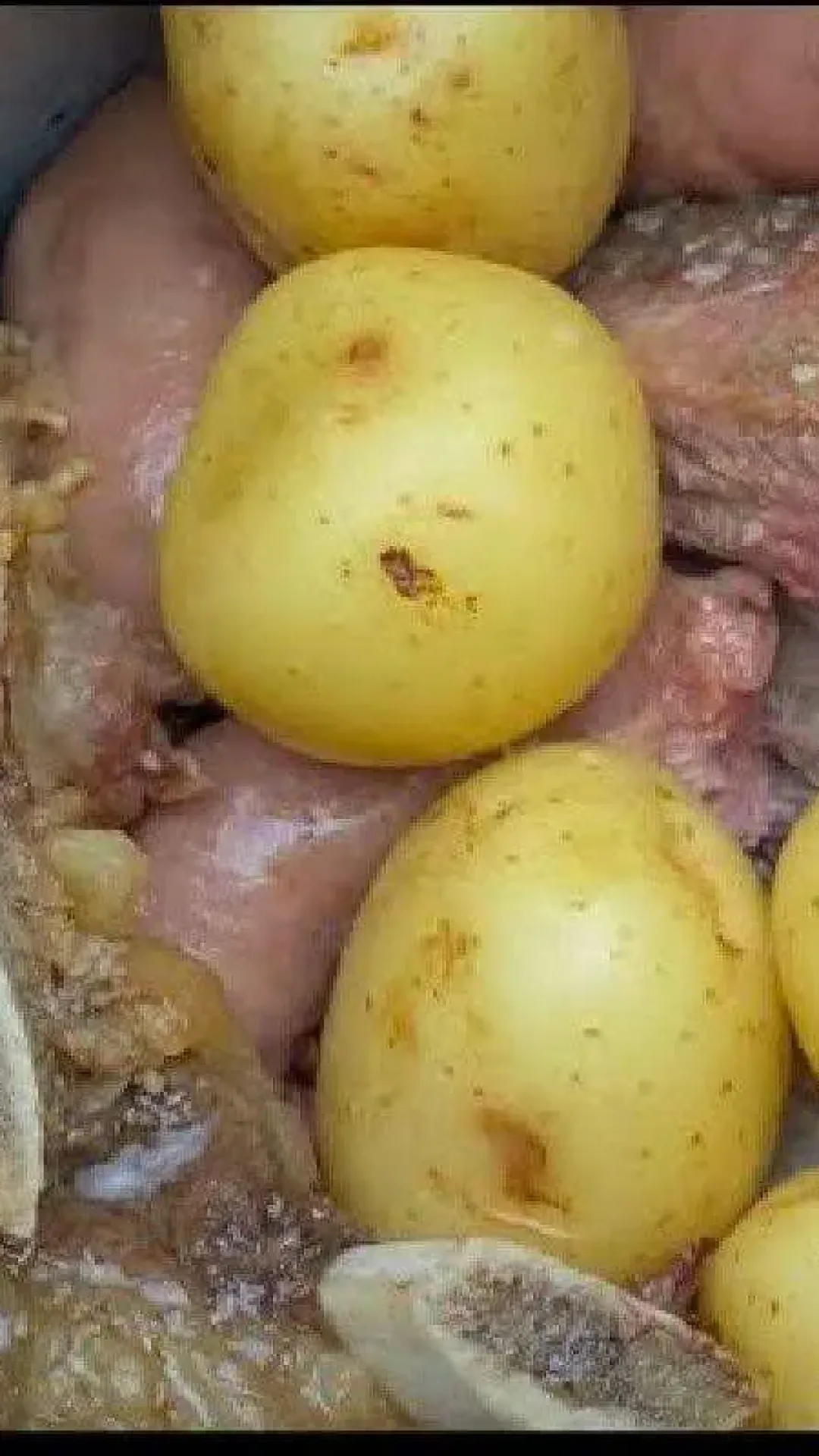 Churrasco na panela de pressão muito saboroso e suculento perfeito em qualquer dia da semana