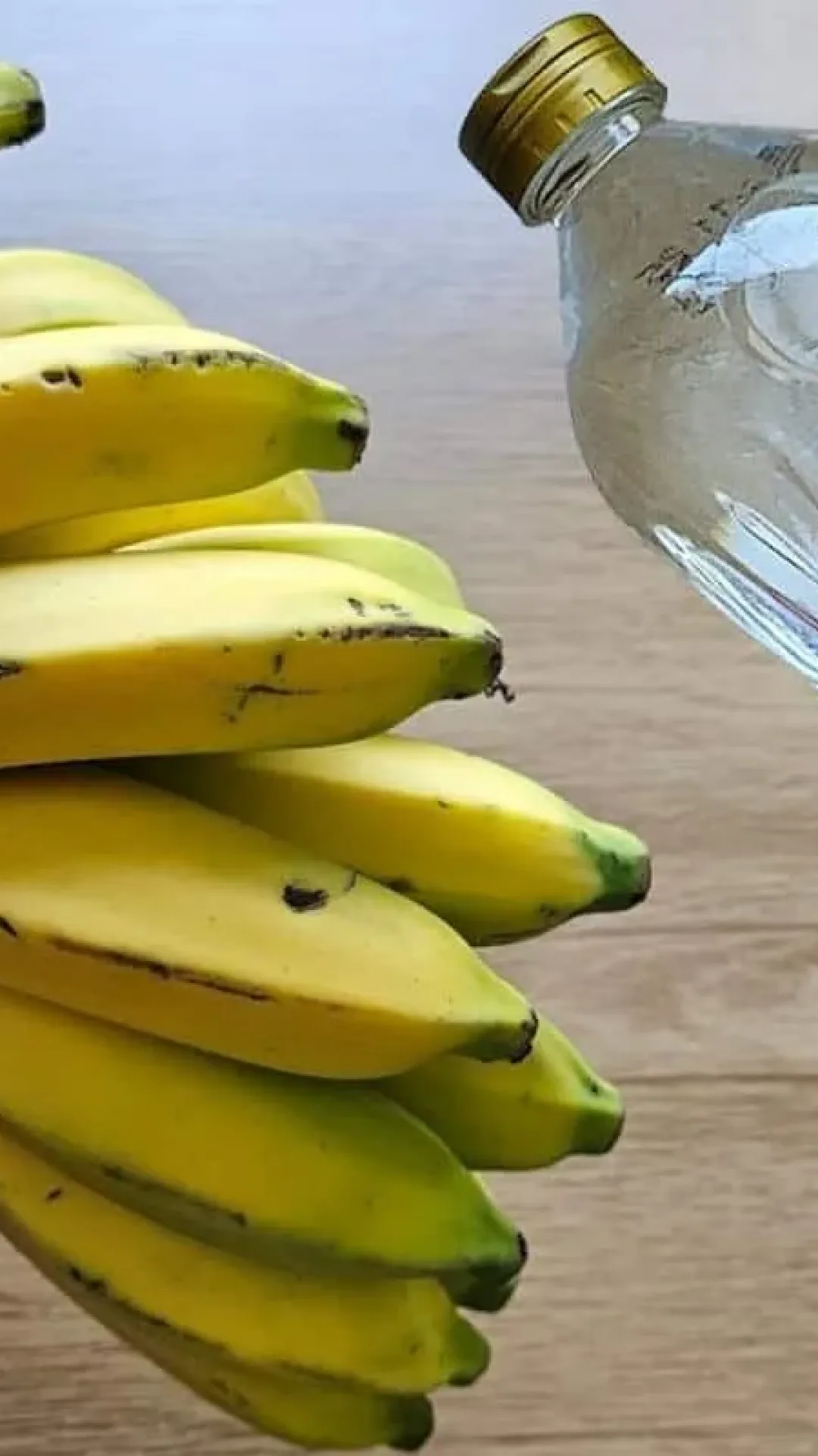 Como conservar banana na geladeira: dura mais tempo sem escurecer e sem estragar