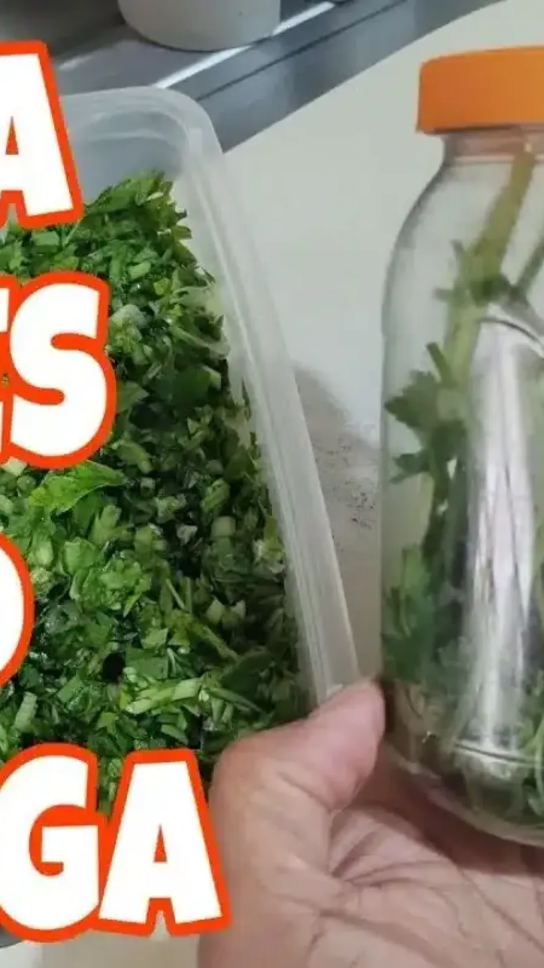 Como conservar cheiro verde na geladeira sem murchar ou ressecar