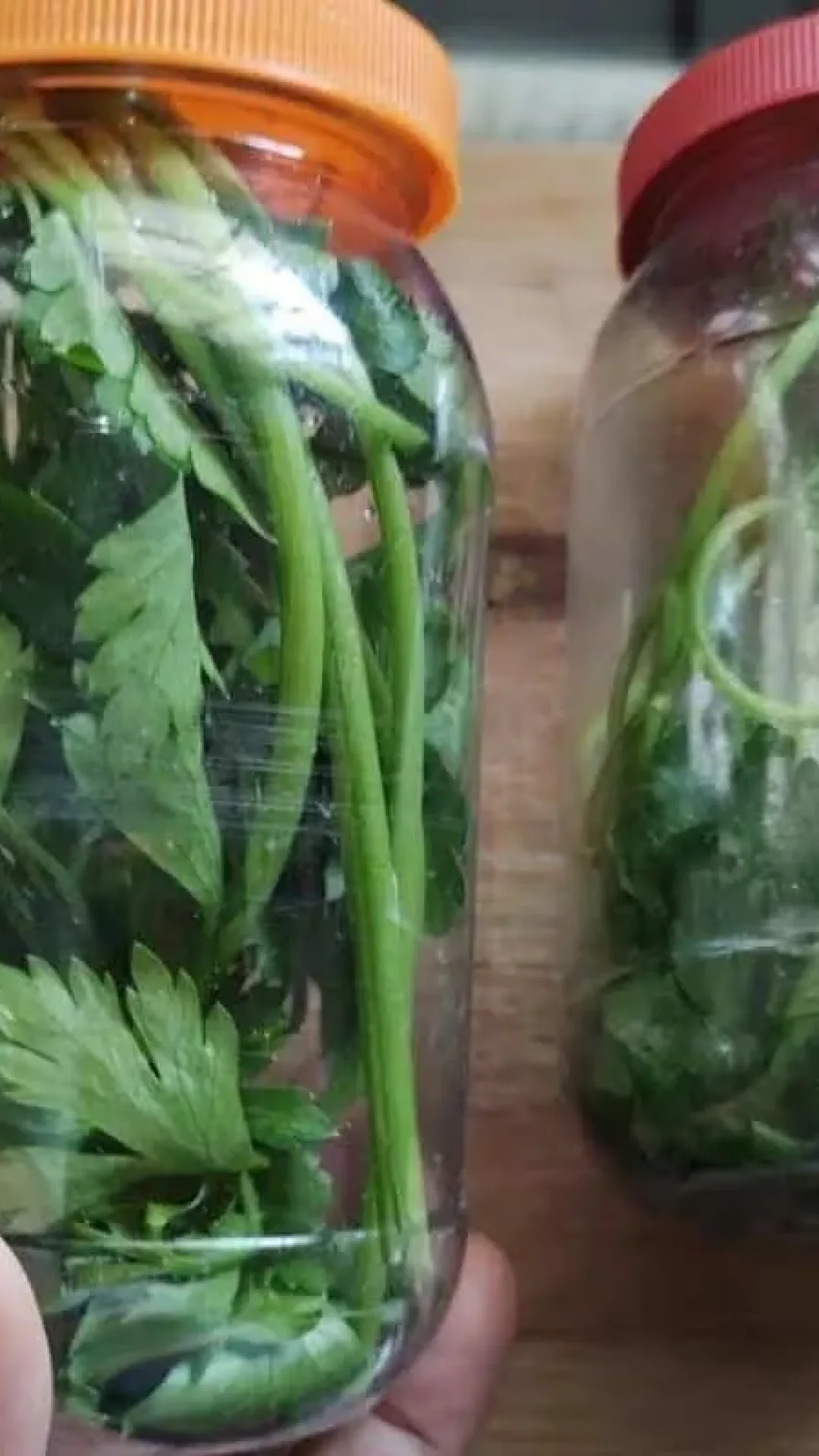 Como conservar cheiro verde: não murcha e fica fresquinho por mais dias