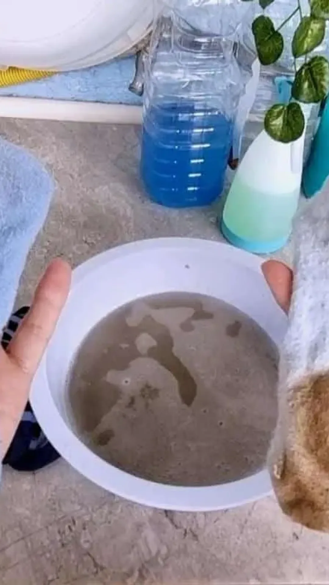 Como desencardir meia suja rapidinho sem ficar esfregando no tanque