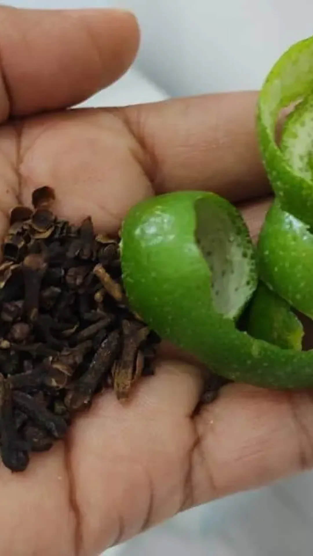 Como espantar insetos com ingredientes naturais e sem precisar de veneno