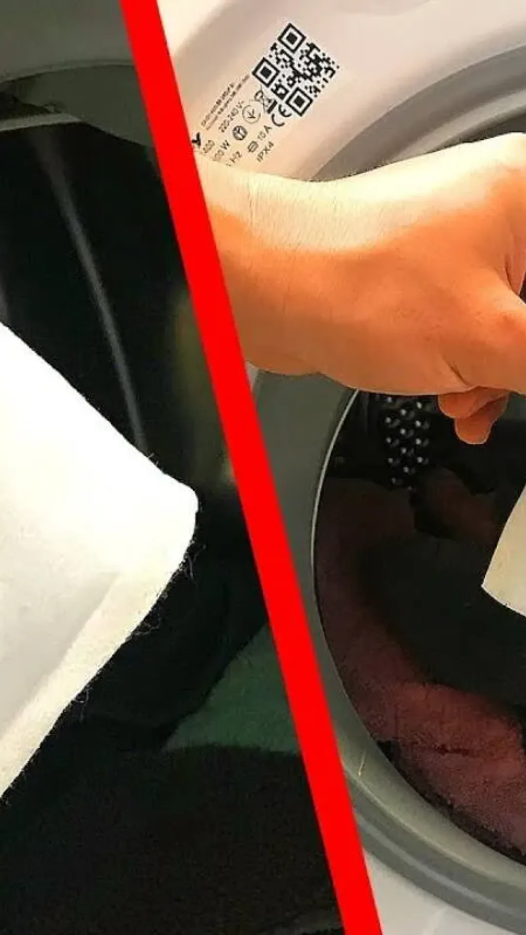 Como evitar pelos nas roupas na hora da lavagem: dica fácil e muito barata de fazer