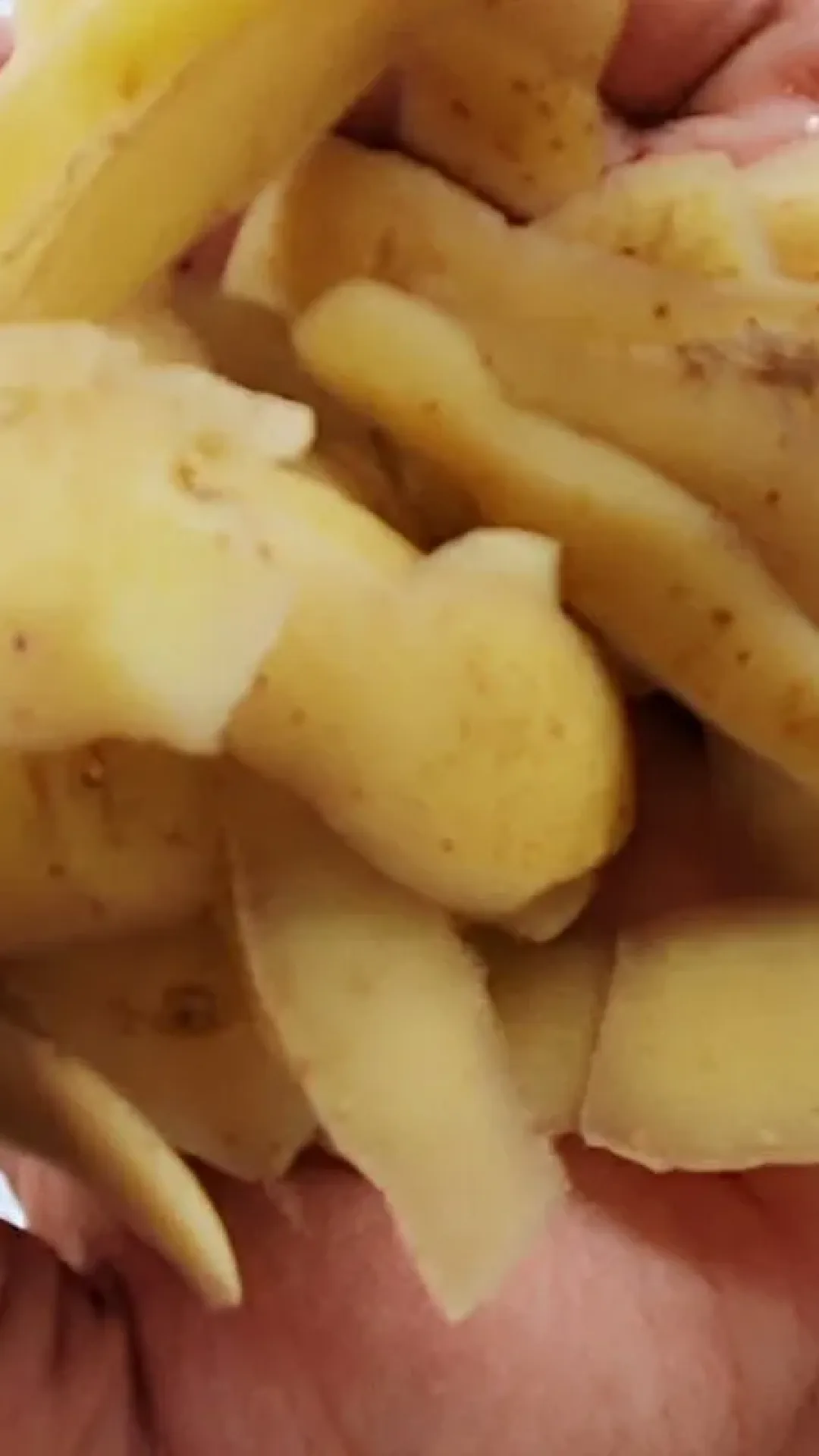 Como fazer adubo caseiro para roseiras usando apenas cascas de ovos e vegetais