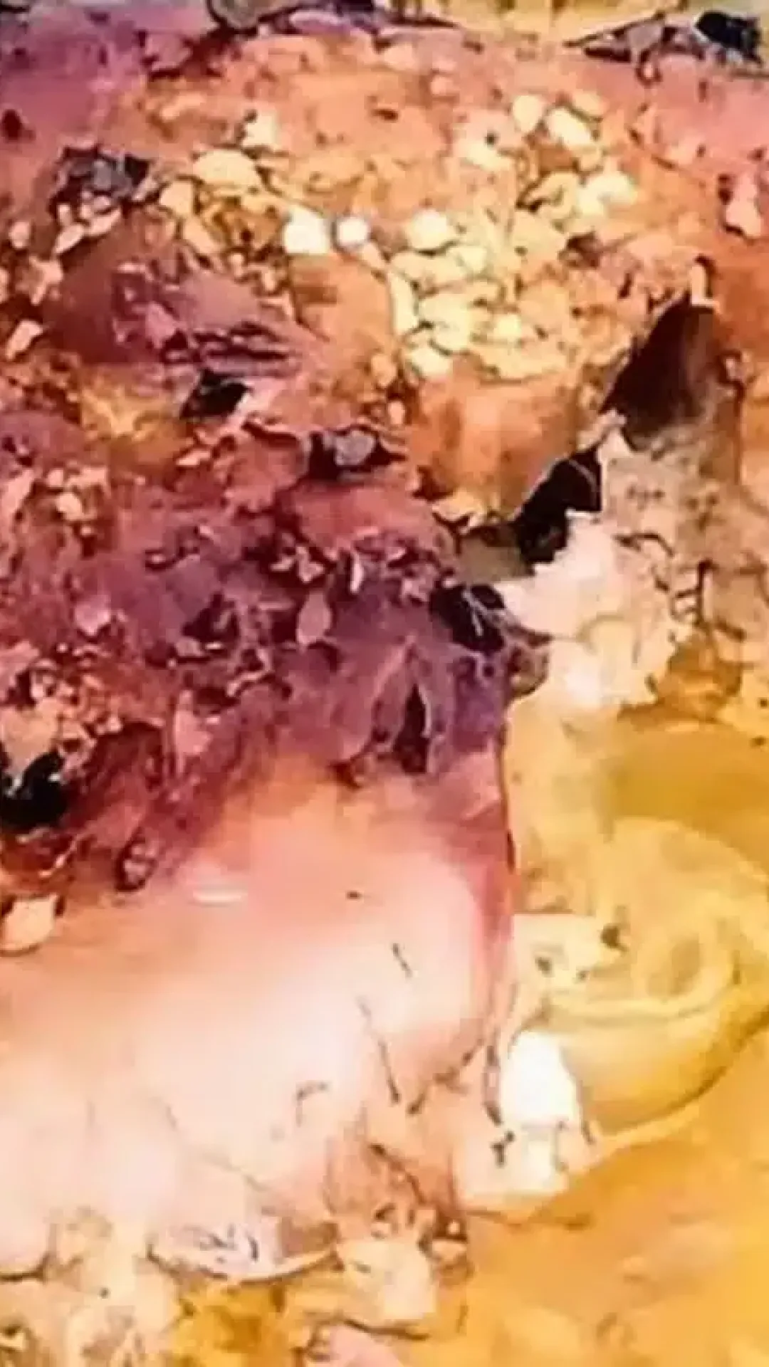 Como fazer carne de porco macia e suculenta para o seu almoço de fim de semana