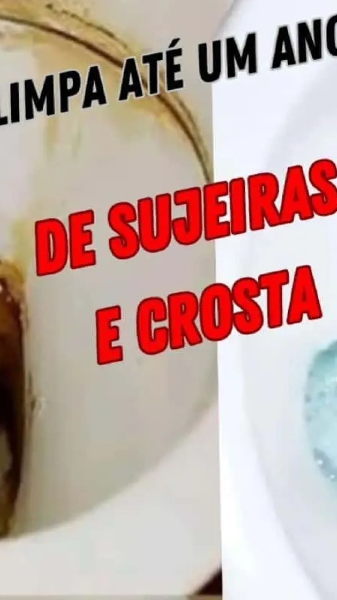 Como fazer limpa piso caseiro: deixa qualquer vaso encardido parecendo novo em folha