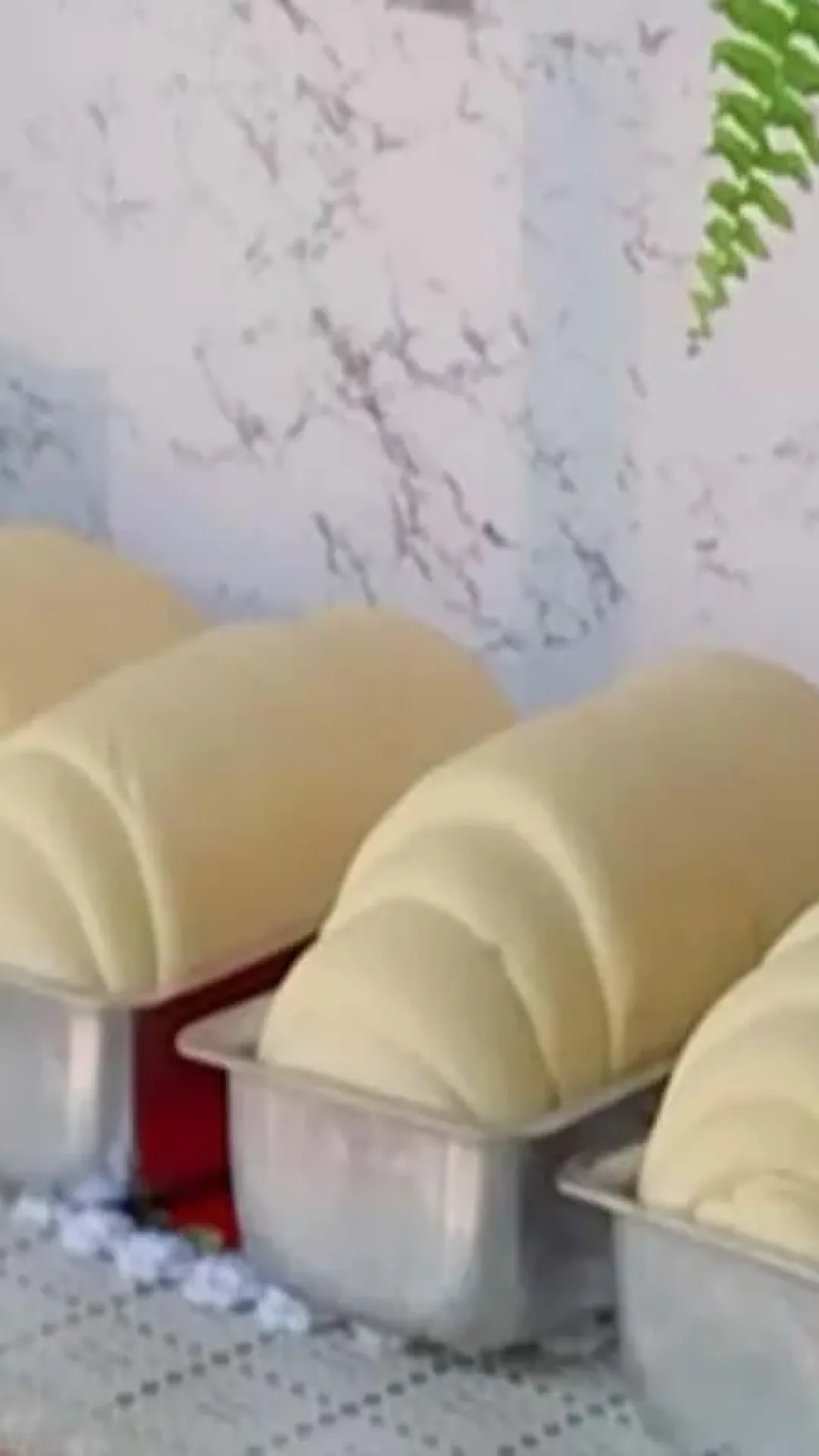 Como fazer pão caseiro perfeito e fofiinho que cresce bastante