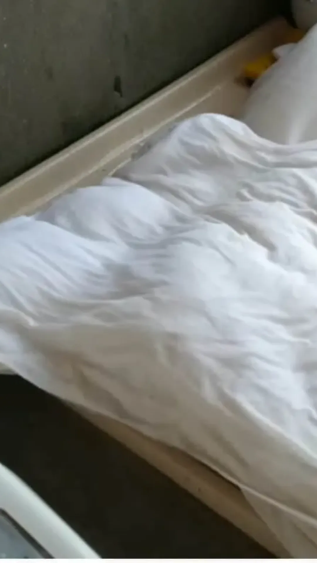 Como lavar travesseiro manchado e encardido sem precisar de alvejante