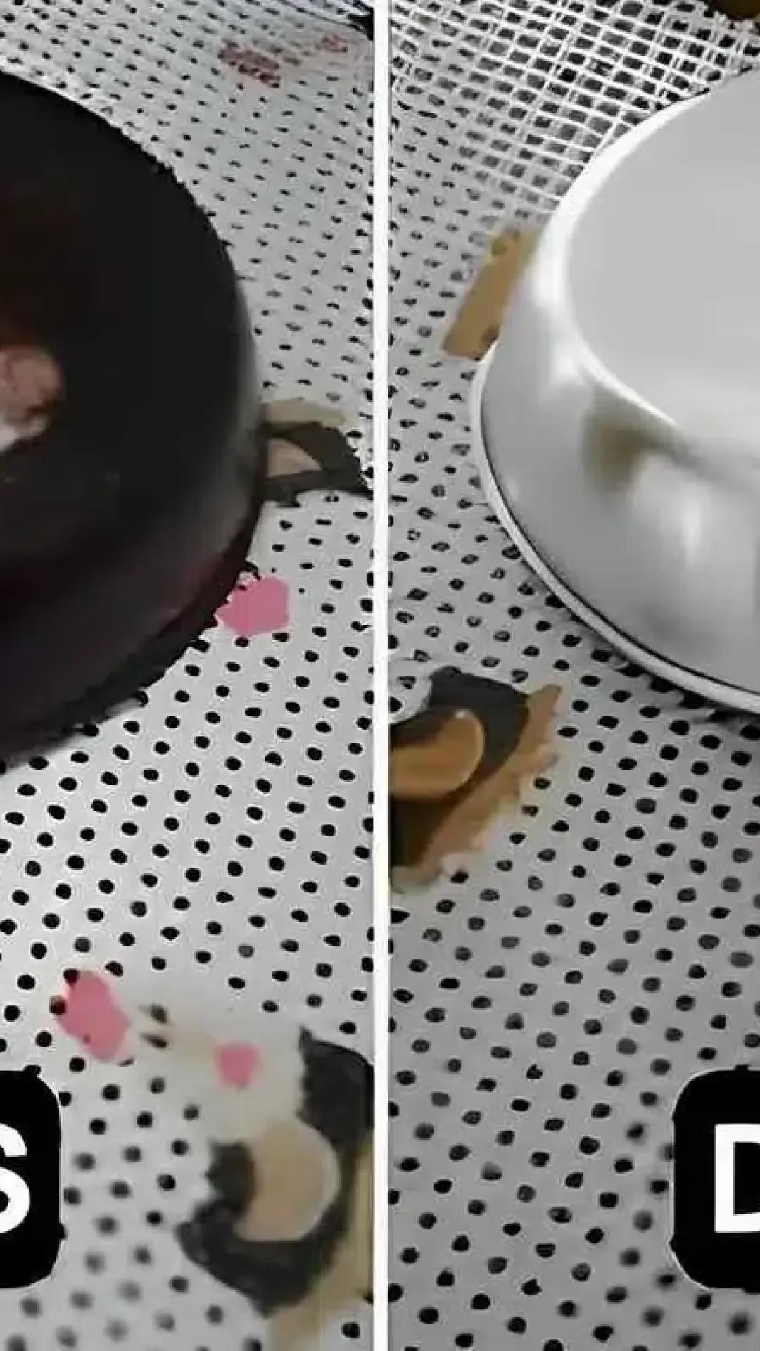 Como limpar panela queimada com aquela crosta preta de gordura