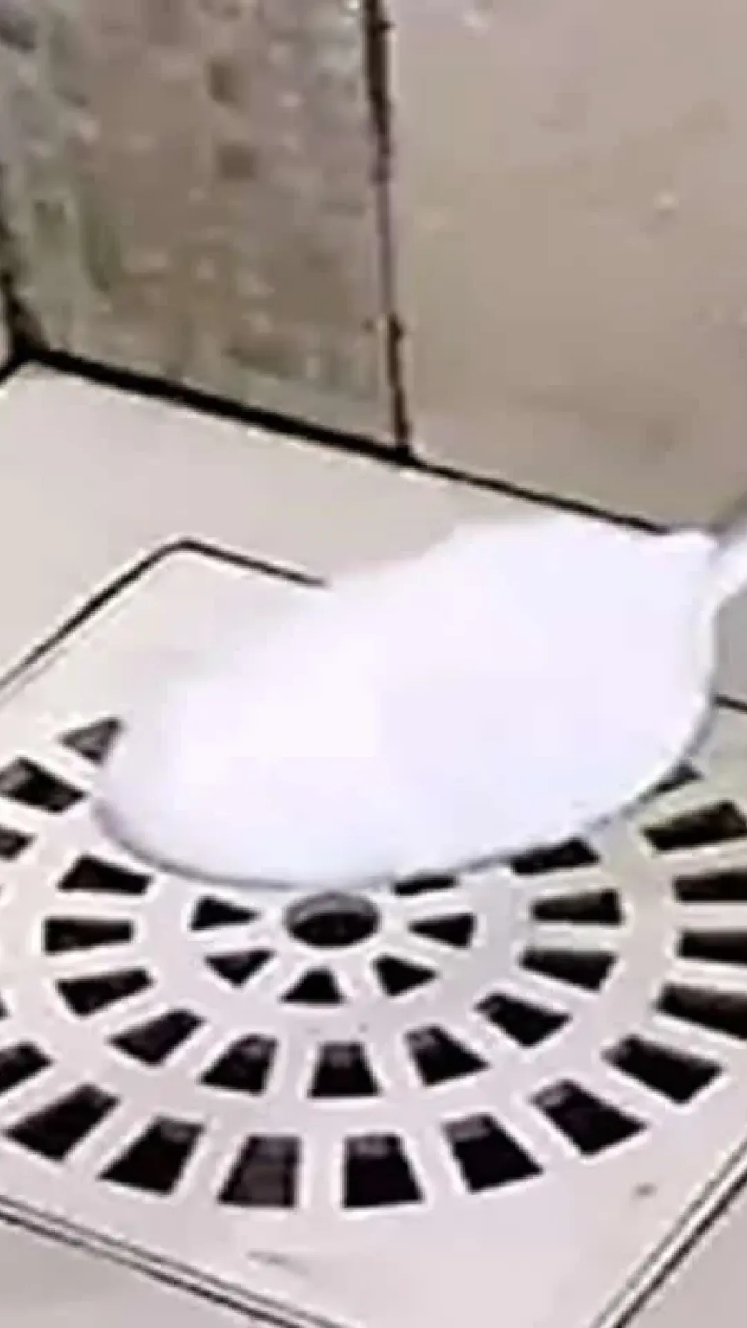 Como limpar ralo do banheiro: acaba o mau cheiro e ainda espanta os insetos