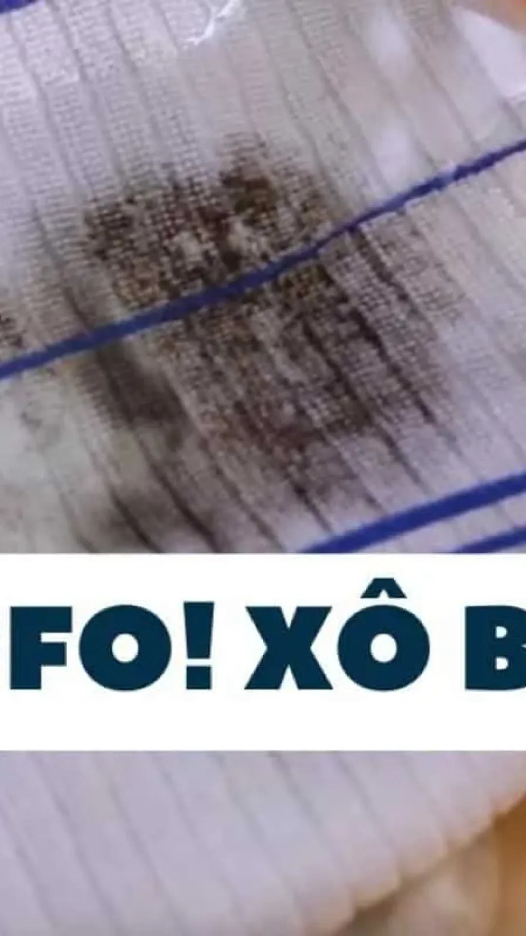 Como tirar mancha de mofo de toalhas e panos de prato: misturinha caseira que faz milagres