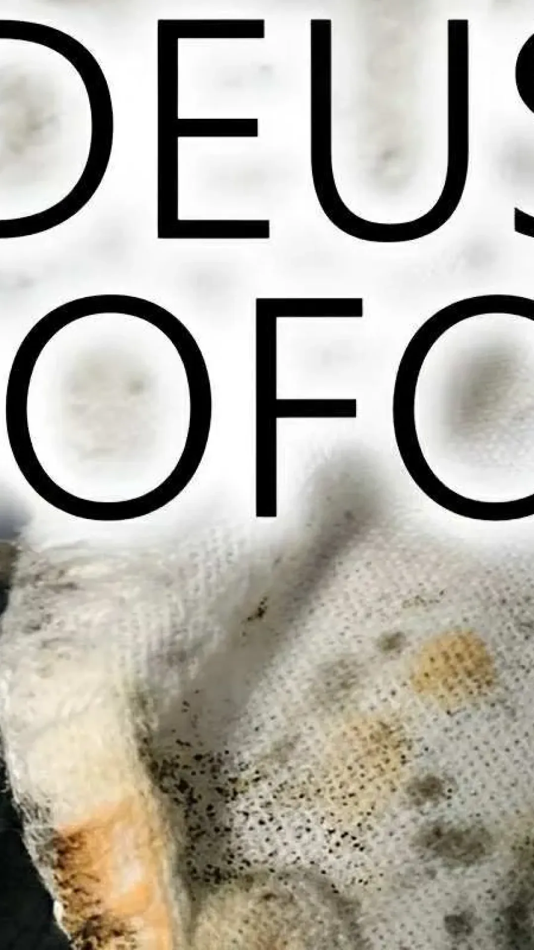Como tirar mofo de tecidos num passe de mágica usando apenas 2 ingredientes que você tem em casa