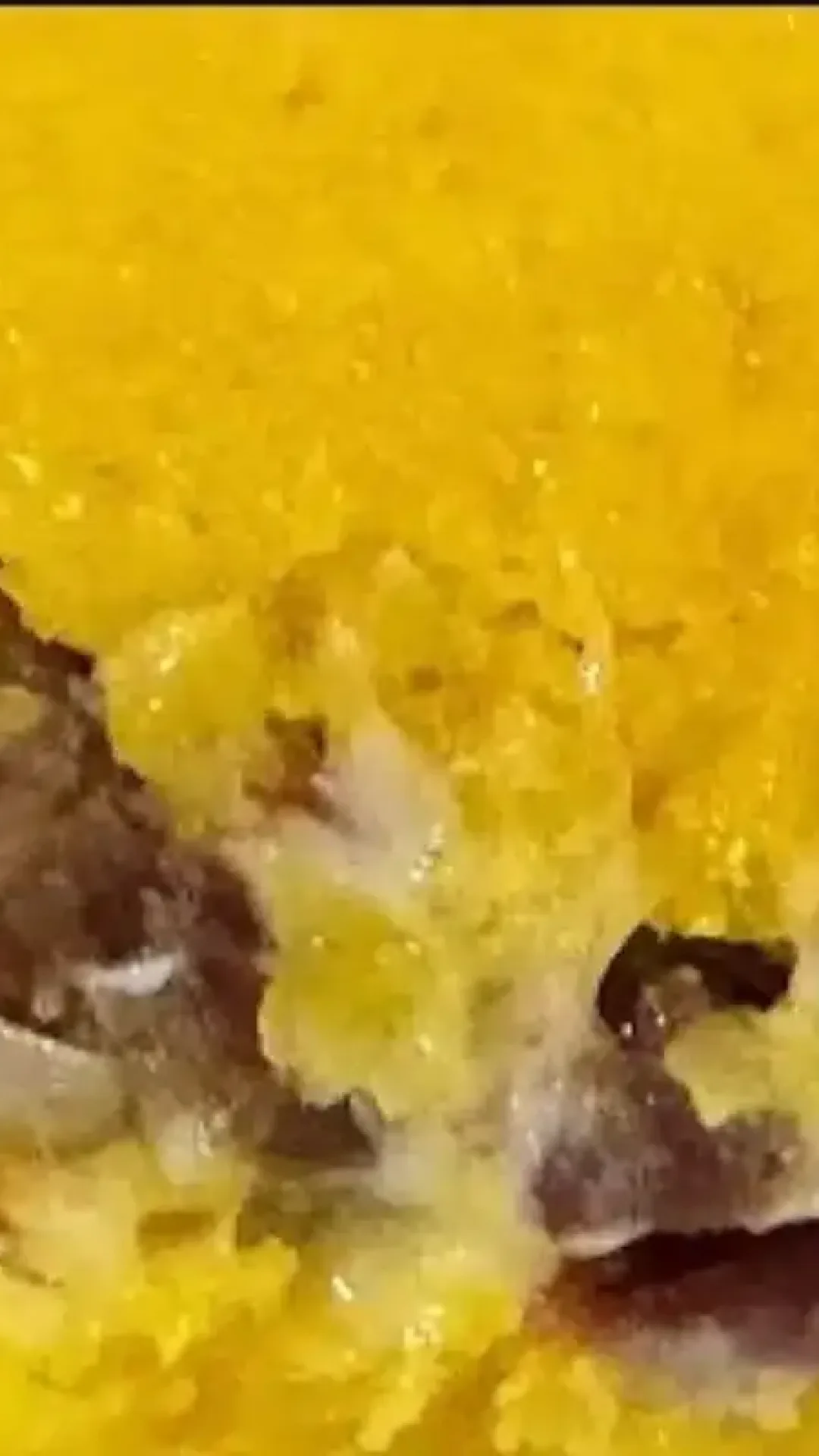 Cuscuz recheado com carne seca e queijo derretido, uma combinação perfeita de sabores