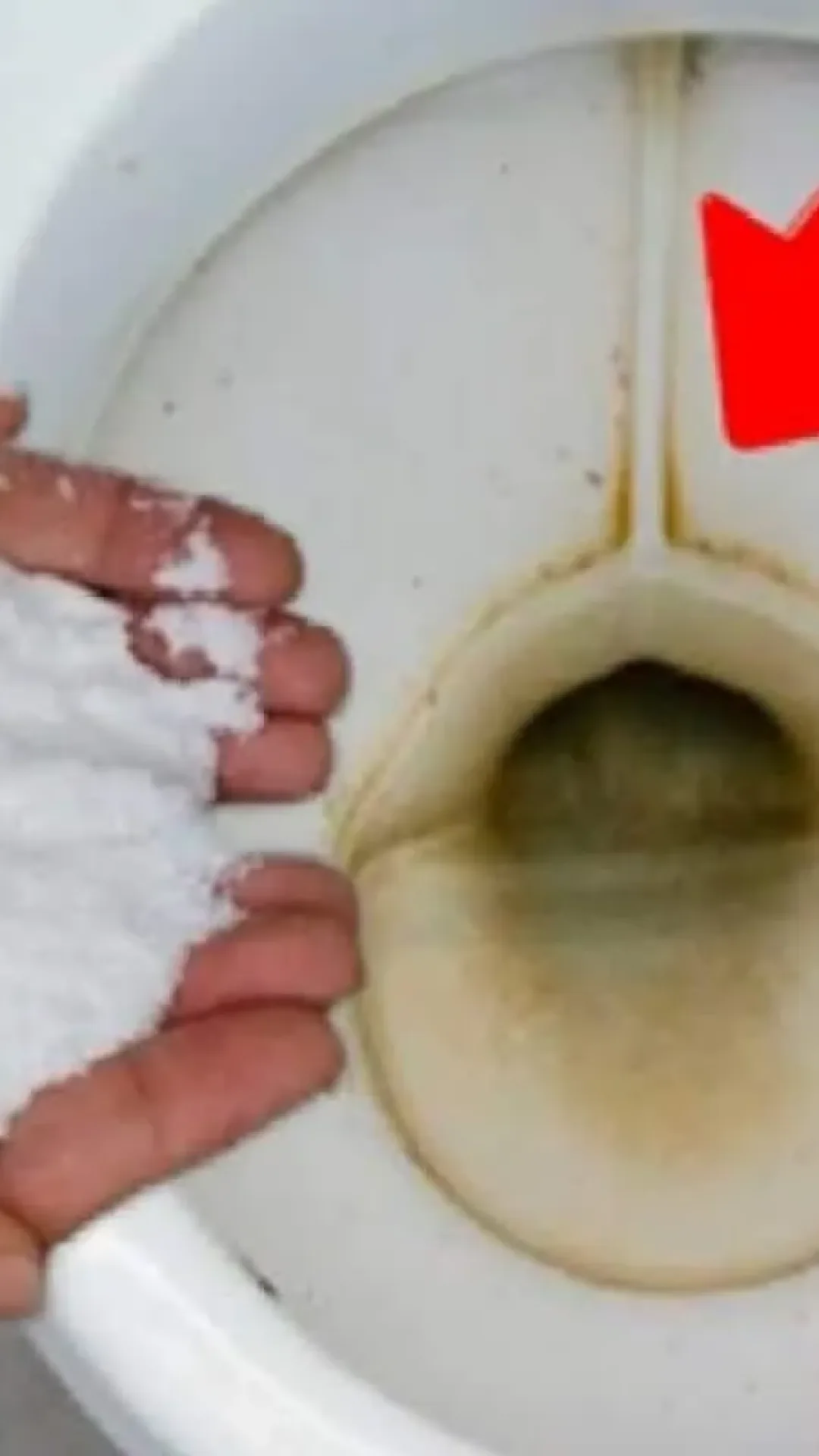 Dica para lavar banheiro e limpar vaso sanitário encardido rapidinho e sem esforço
