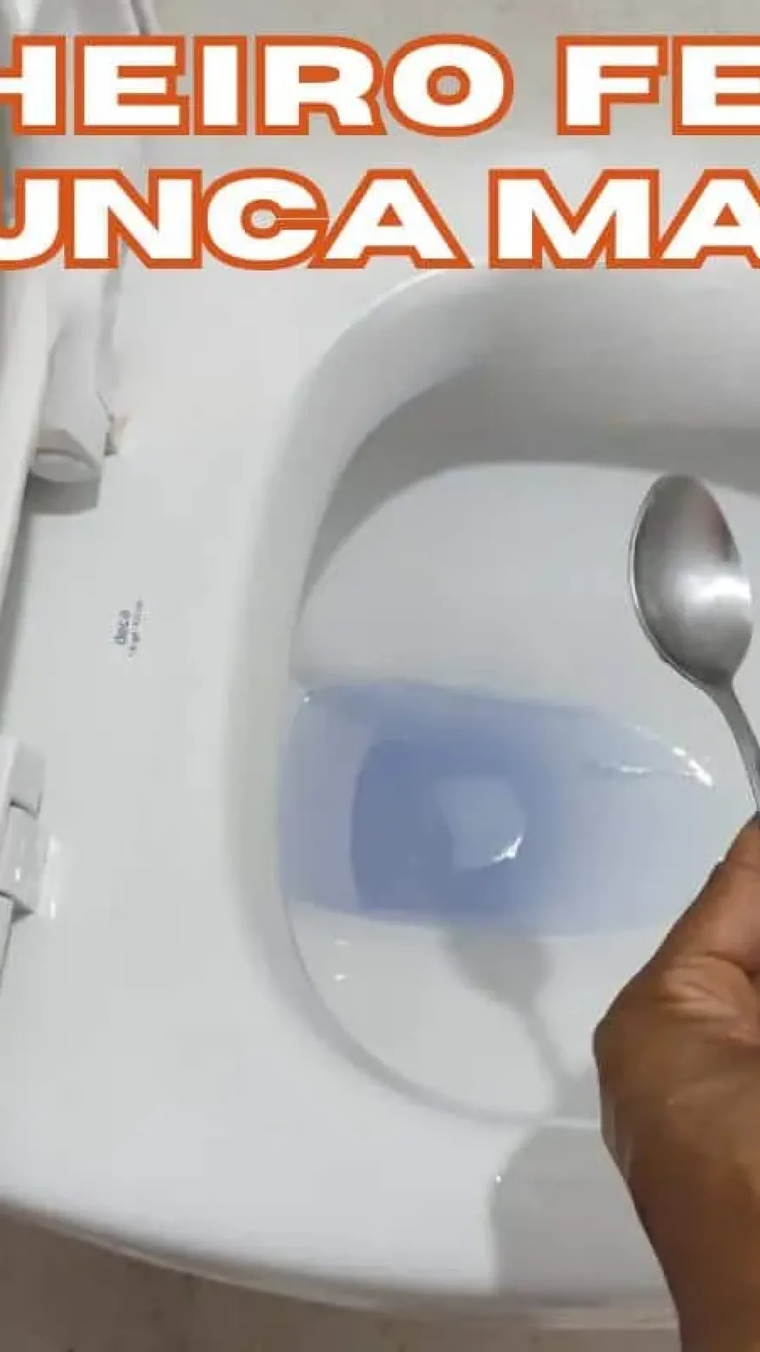 Dica para perfumar o banheiro: não precisa gastar dinheiro com produto caro