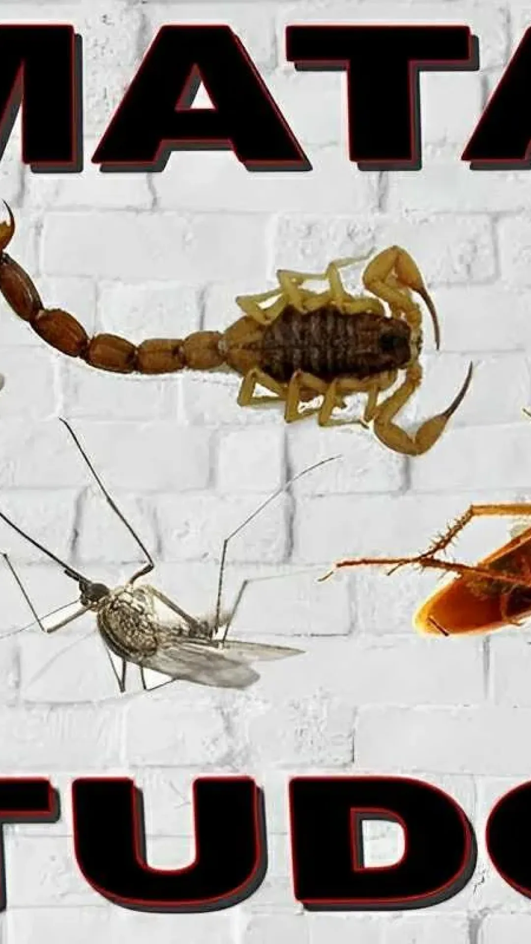 Esse é o melhor inseticida caseiro que existe fácil eficaz e natural