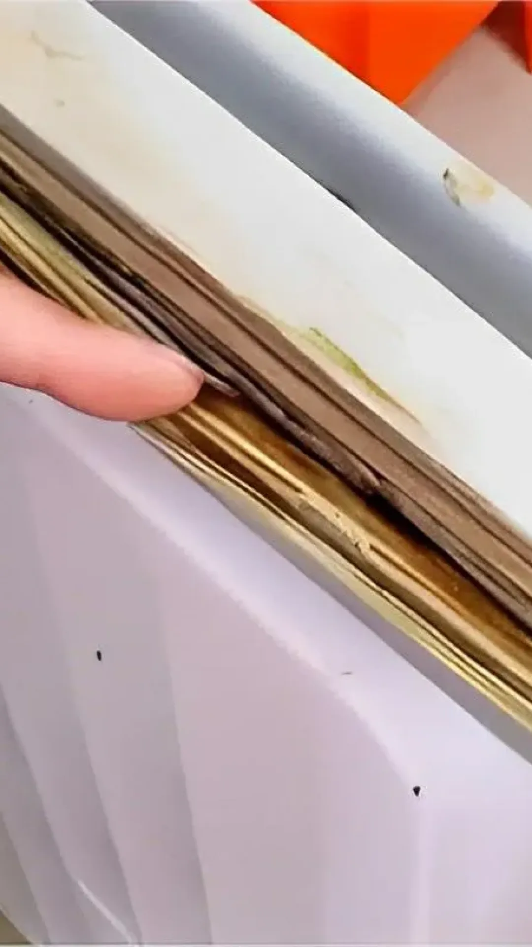 Fiz esse truque e minha geladeira ficou como nova