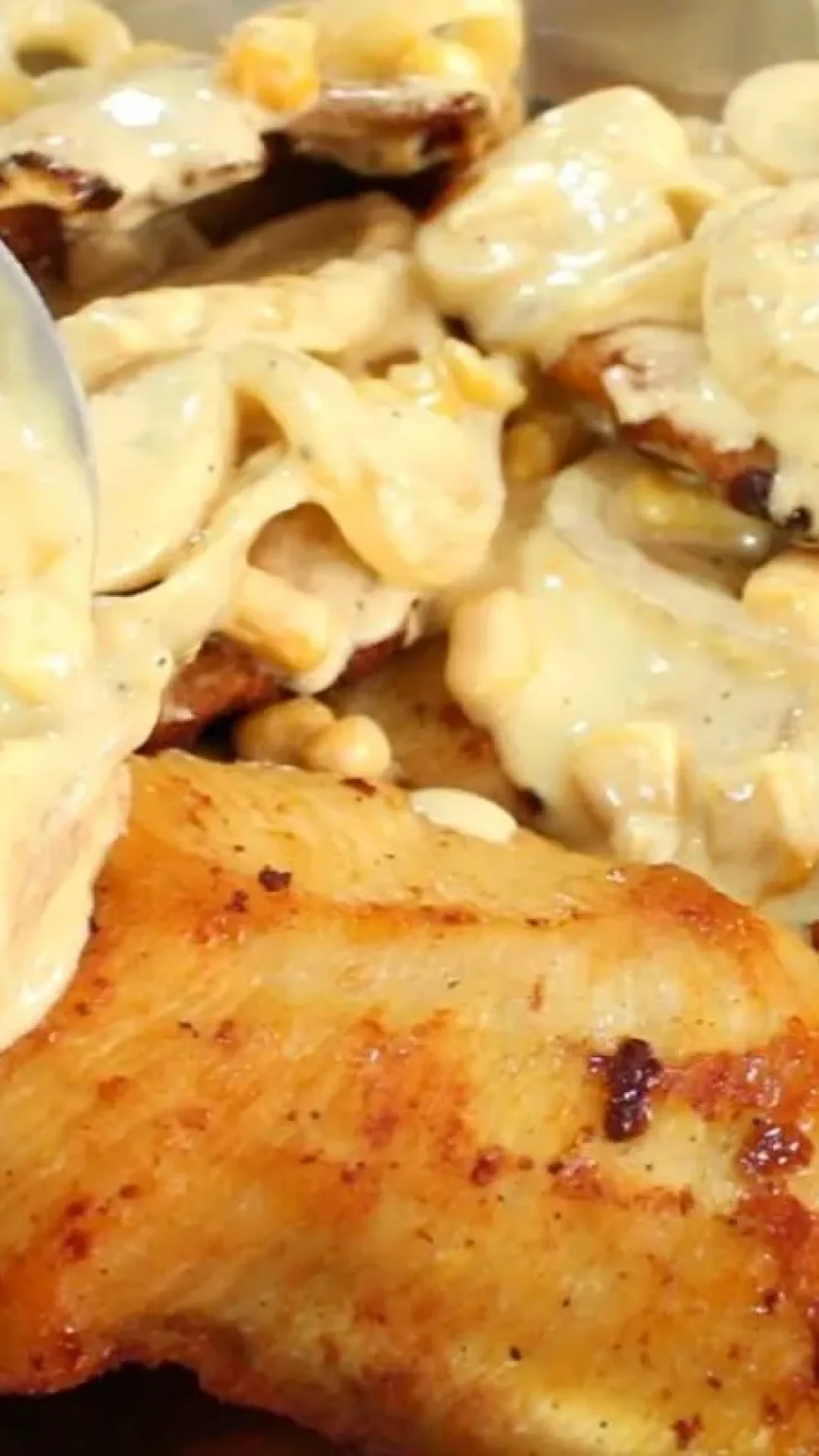 Frango com molho especial super cremoso e sabor que conquista na primeira garfada