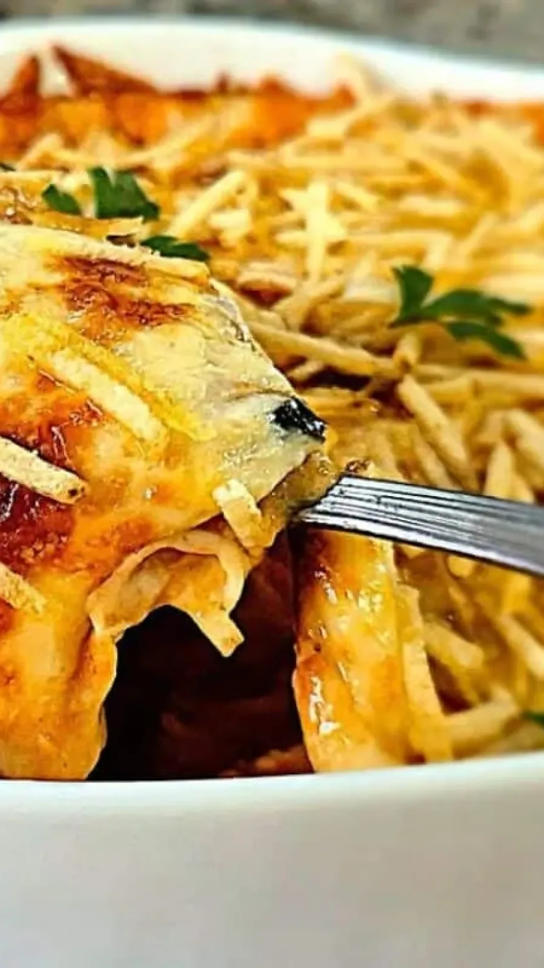 Fricassê de frango: um prato gratinado incrível que todo mundo vai amar e pedir a receita