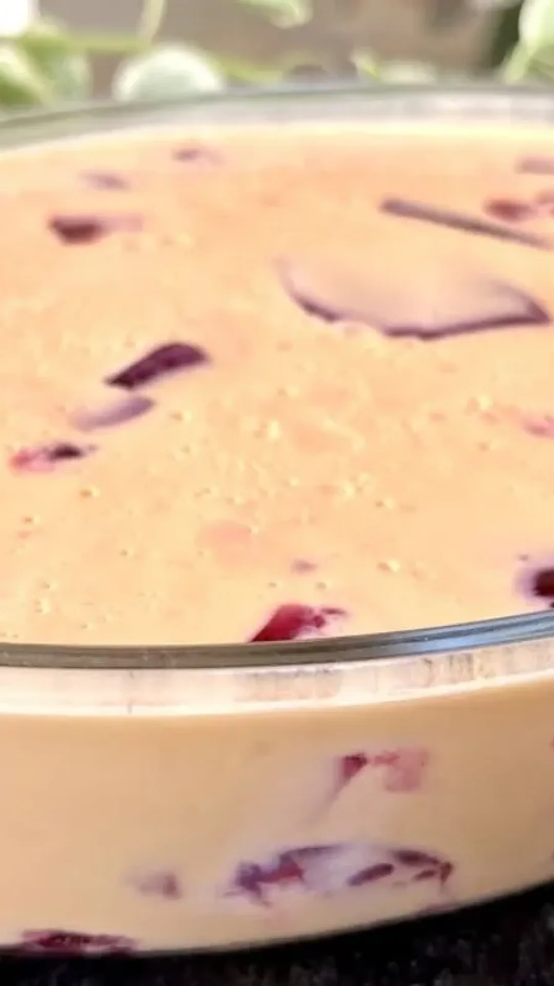 Gelatina cremosa zero açúcar: feita com só 2 ingredientes e sem leite condensado