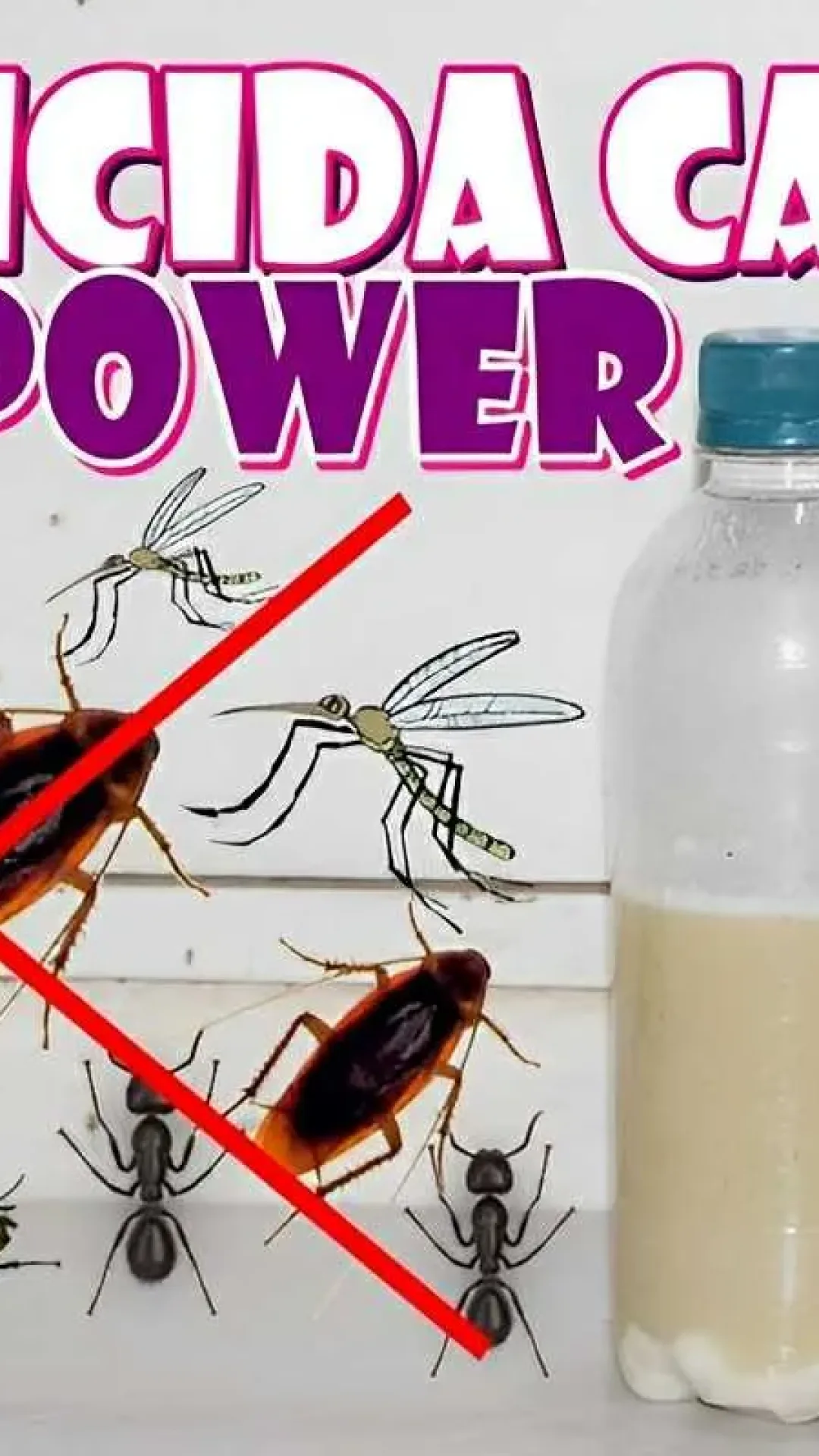 Inseticida caseiro que acaba com tudo mosquitos pernilongos borrachudos e outros insetos