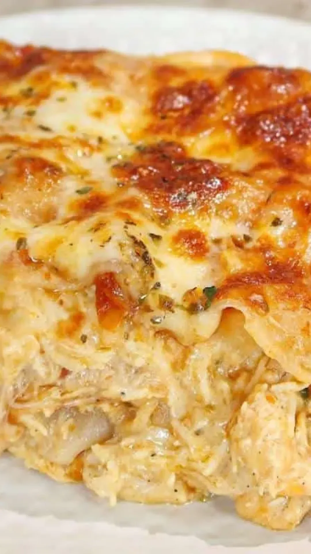 Lasanha de frango cremosa para fazer um almoços simples virar uma ocasião especial