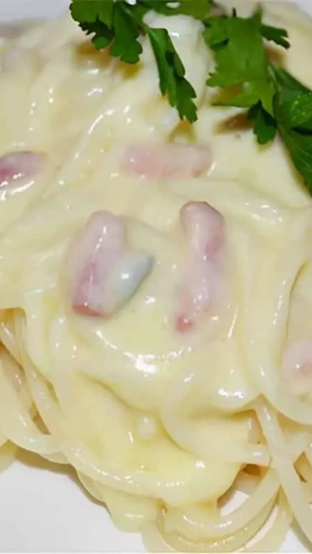 Macarrão ao molho branco na panela de pressão delicioso e fica pronto em 10 minutos