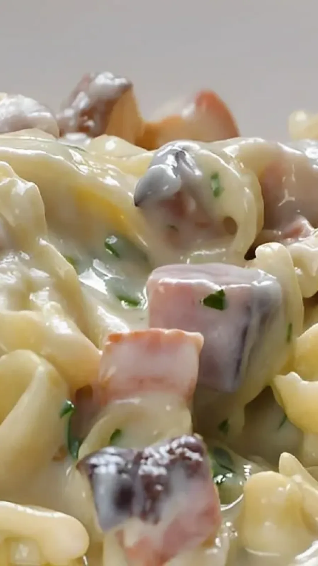 Macarrão com molho branco e bacon gratinado no forno fácil e delicioso para almoço ou jantar